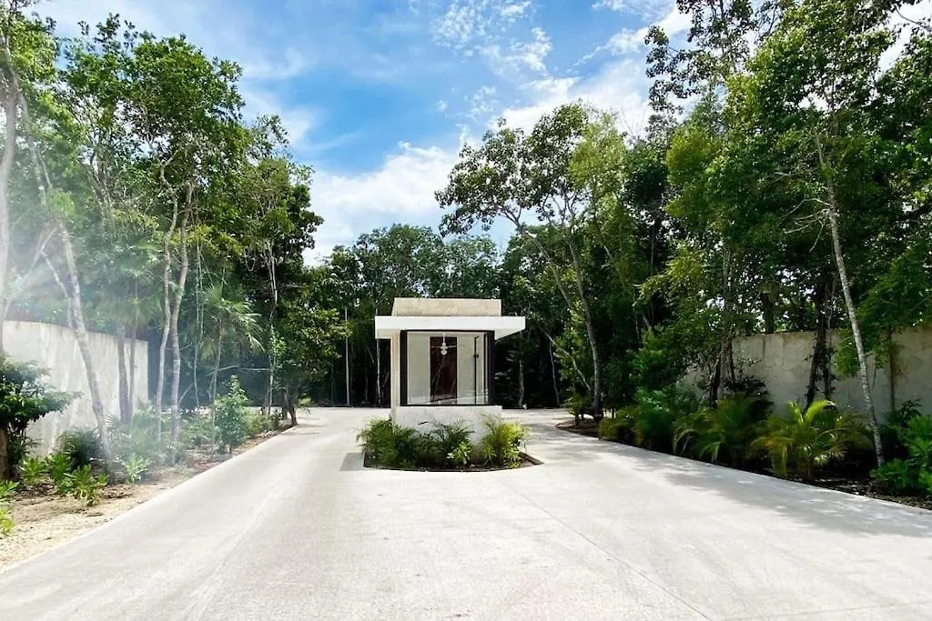 Casa Areca: Award-Winning Architectural Villa with Concierge Tulum