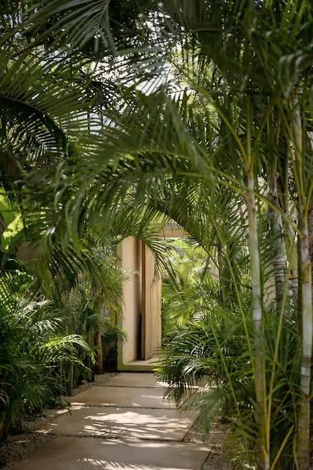 Casa Areca: Award-Winning Architectural Villa with Concierge Tulum Mexico