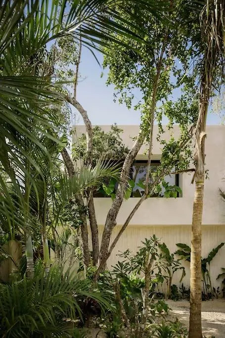 Casa Areca, Awarded Architectural Villa Located In A Secured Gated Community, With Concierge Services Tulum