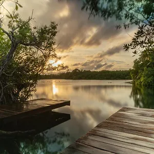Yaxchen Eco Lodge&cenote Lodge