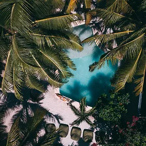 Zorba Homes Tulum
